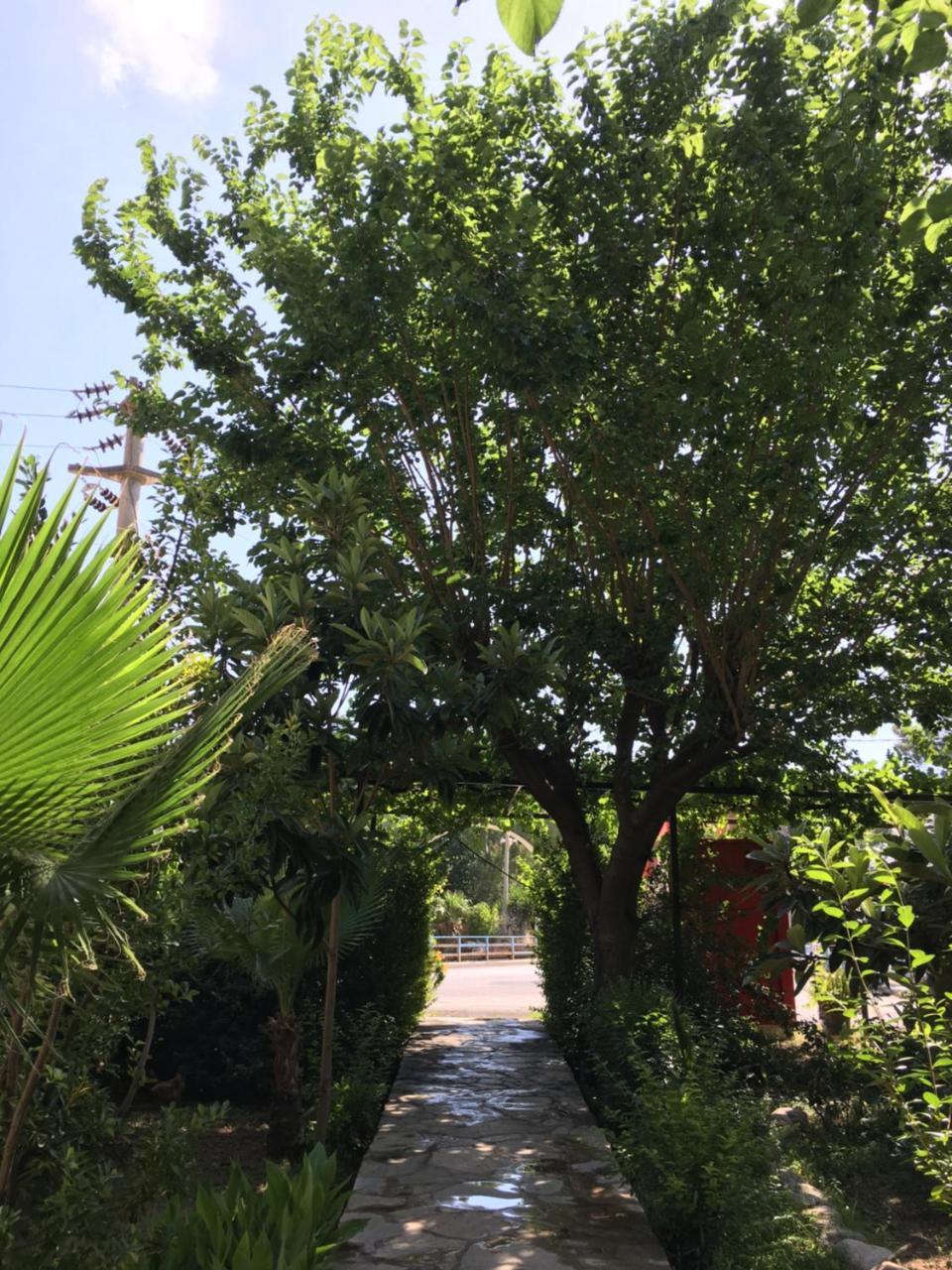 Dolunay Apart Hotel Çıralı Exteriör bild