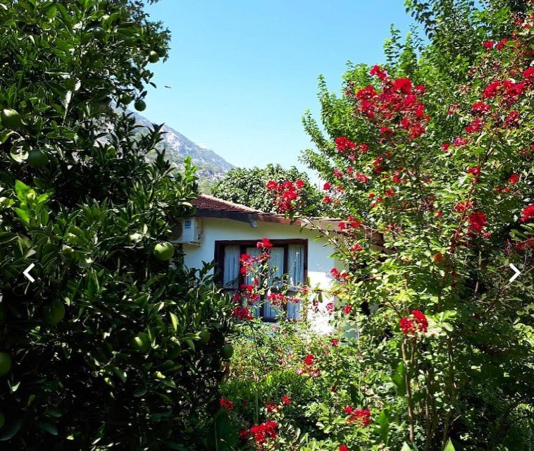 Dolunay Apart Hotel Çıralı Exteriör bild