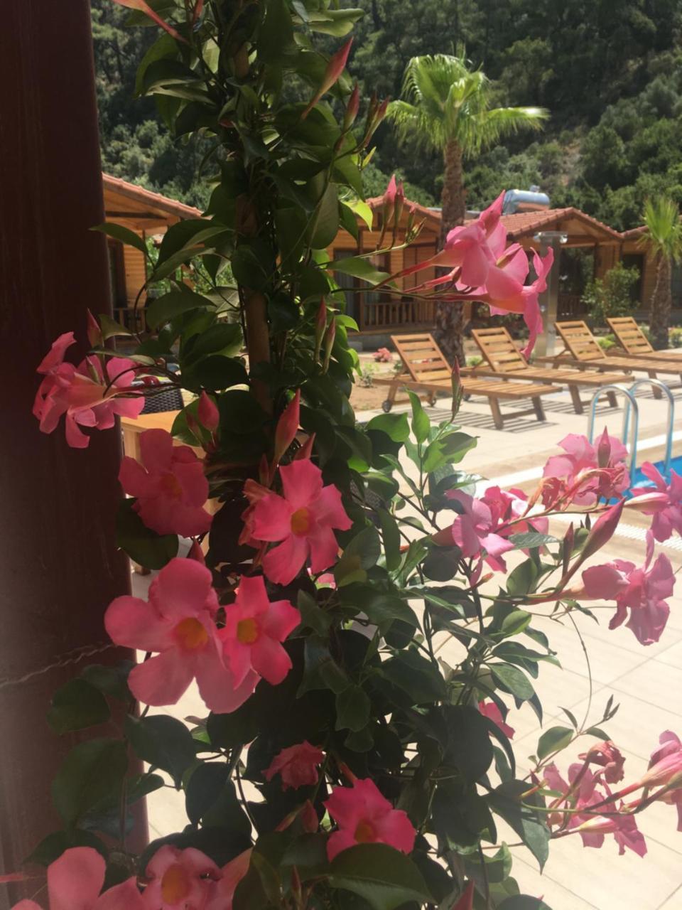 Dolunay Apart Hotel Çıralı Exteriör bild