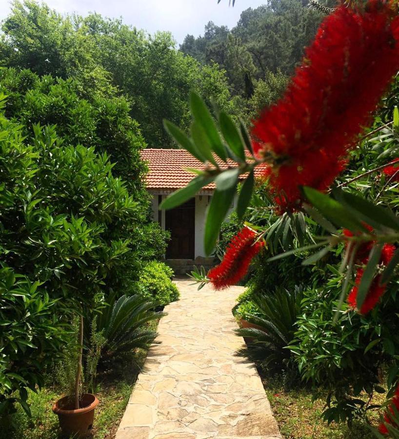 Dolunay Apart Hotel Çıralı Exteriör bild
